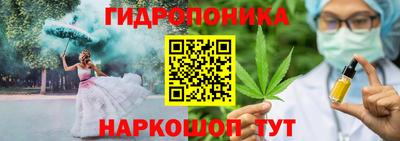 круглые Лесосибирск