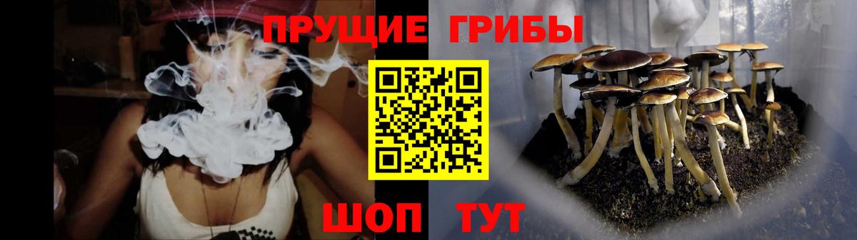 где купить наркоту  Галлюциногенные грибы MAGIC MUSHROOMS  Вход с VPN  Горячий Ключ 