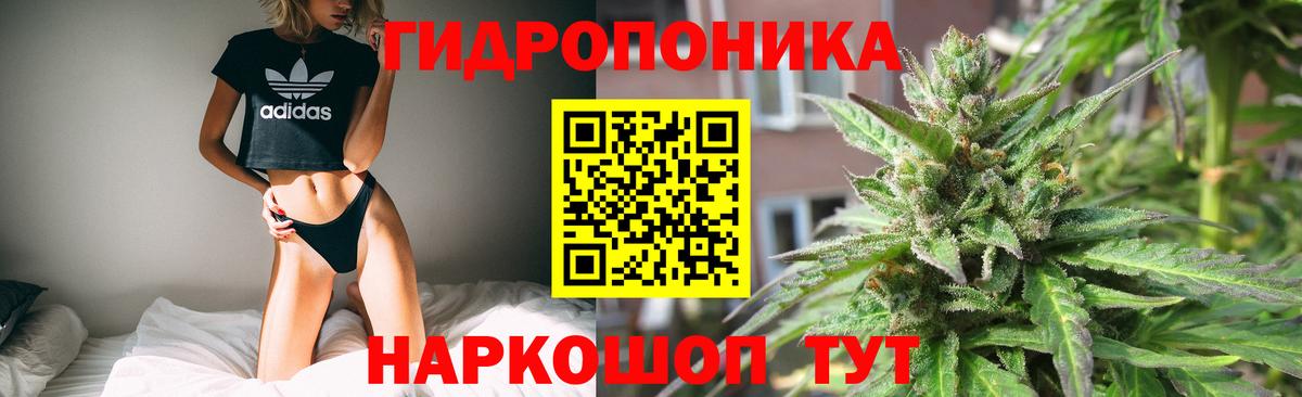 Канабис OG Kush Горячий Ключ